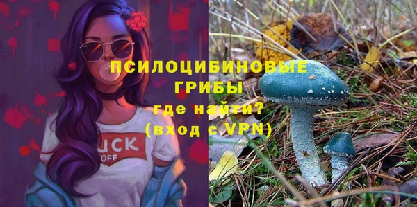 ALPHA-PVP Верея