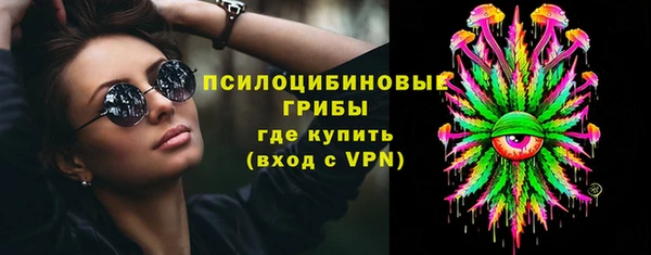 герыч Бронницы
