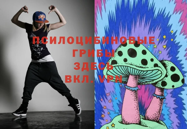 2c-b Бугульма