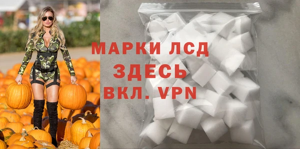 mdpv Бородино