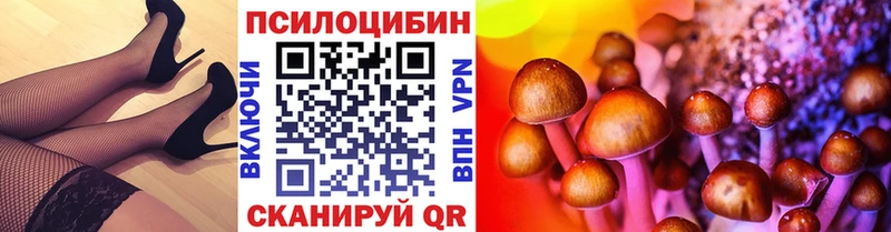 кракен онион  сколько стоит  Вологда  Галлюциногенные грибы MAGIC MUSHROOMS 