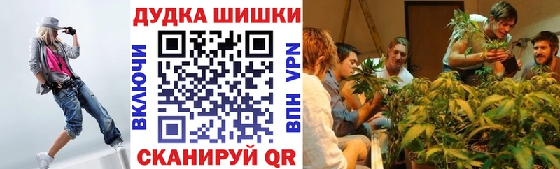 Бошки марихуана индика  что такое наркотик  Вологда 